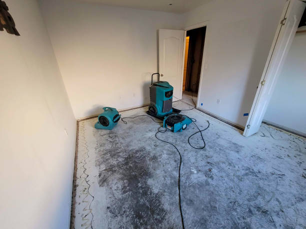 Best Water damage repair service  in North Lynnwood, WA
