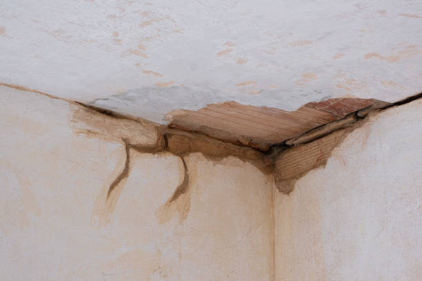 Best Flood damage cleanup  in North Lynnwood, WA