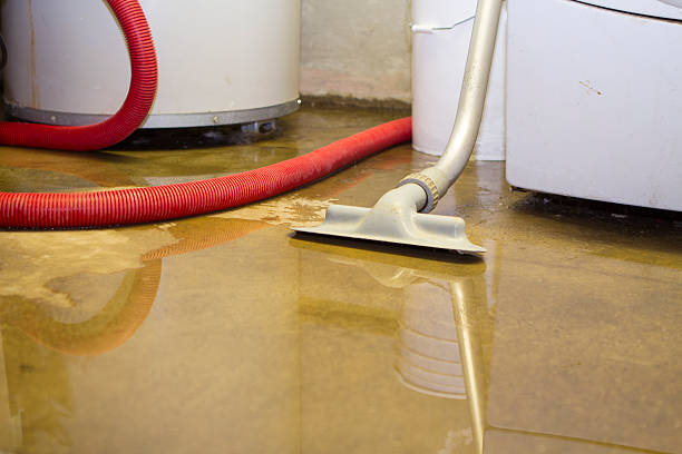 Best Basement water damage restoration  in North Lynnwood, WA