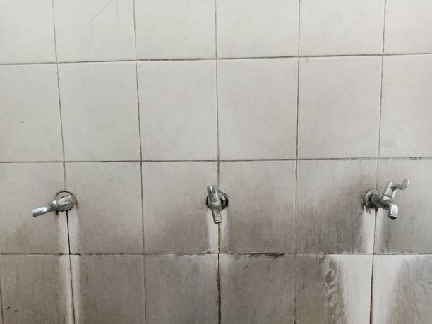 Best Water damage cleanup near me  in North Lynnwood, WA