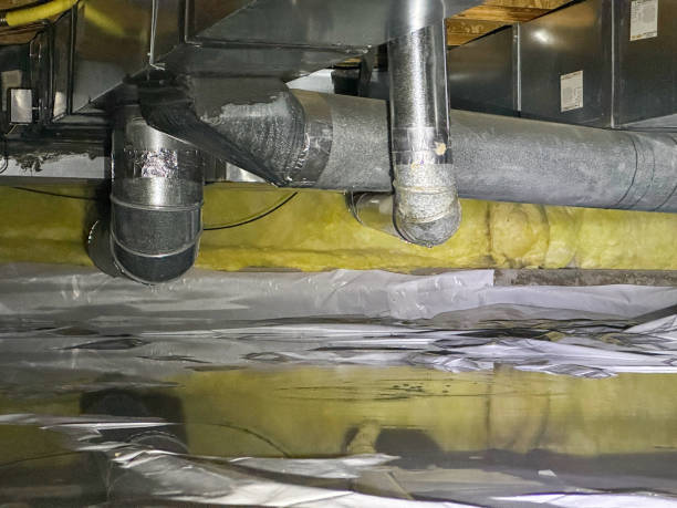 Best Water damage mitigation services  in North Lynnwood, WA
