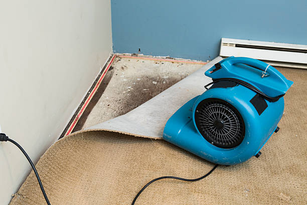 Best Commercial water damage restoration  in North Lynnwood, WA